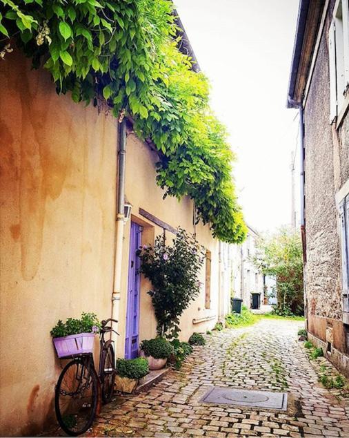 La Maison Dormoy - Maison De Ville - Coeur De Bourges Dış mekan fotoğraf